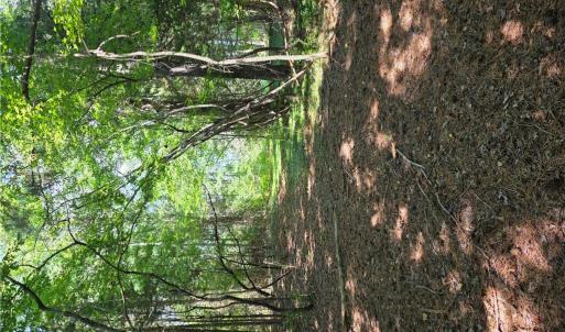 Photo #6 of 2 acr Horn Harbor Avenue, New Point, Virginia 2.0 acres