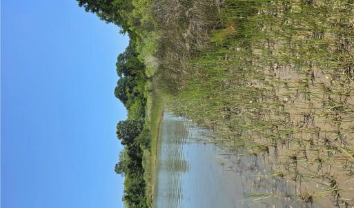 Photo #3 of 2 acr Horn Harbor Avenue, New Point, Virginia 2.0 acres