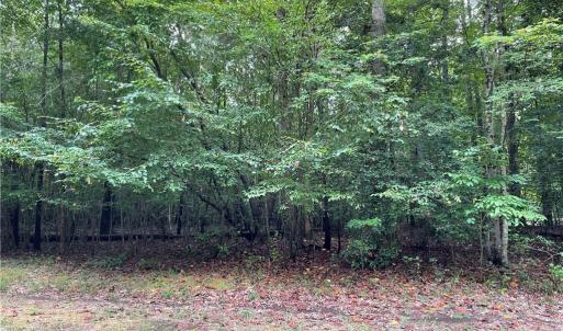 Photo #4 of 10+ac Beech Creek  (10.88ac) Road, Gloucester, Virginia 10.9 acres