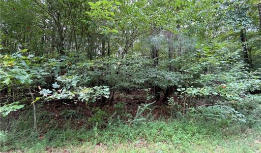 Photo #7 of 10+ac Beech Creek  (10.88ac) Road, Gloucester, Virginia 10.9 acres