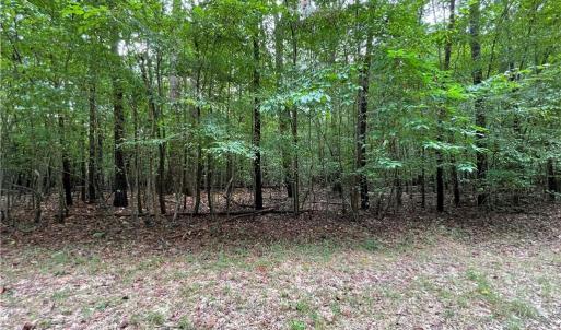 Photo #10 of 10+ac Beech Creek  (10.88ac) Road, Gloucester, Virginia 10.9 acres