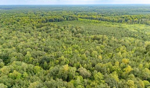 Photo #3 of 10+ac Beech Creek  (10.88Ac) Road, Gloucester, Virginia 10.9 acres