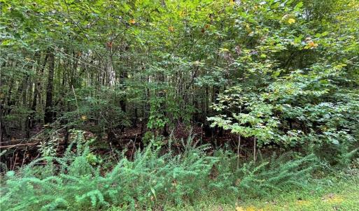 Photo #8 of 10+ac Beech Creek  (10.88Ac) Road, Gloucester, Virginia 10.9 acres