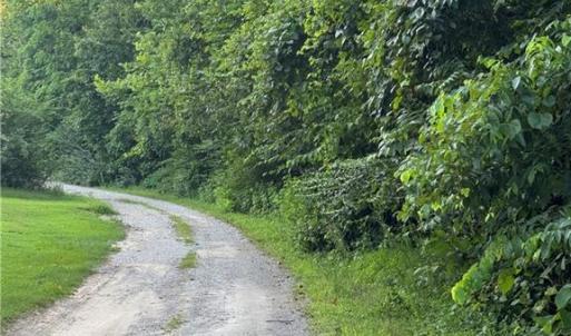 Photo #5 of 9-22 Deer Ridge Trail, Spring Grove, Virginia 10.0 acres