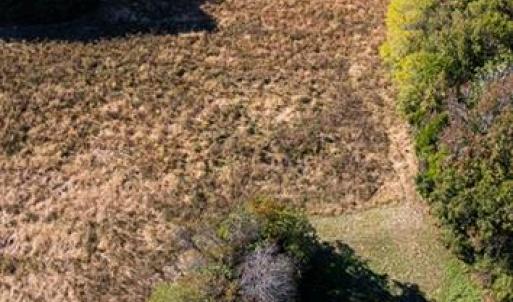 Photo #2 of 42-14 Chippokes Farm Road, Surry, Virginia 28.2 acres