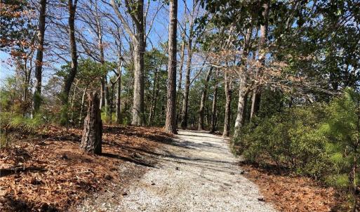 Walking trails
