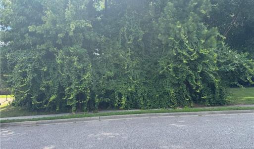 Photo #5 of 39 Edenbrook Drive, Hampton, Virginia 0.7 acres