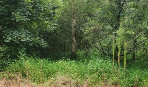 Photo #1 of 4364 Griffin Lane, Suffolk, Virginia 0.4 acres