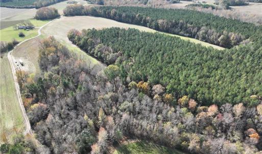 Photo #5 of 100+AC Purdy Road, Emporia, Virginia 108.1 acres