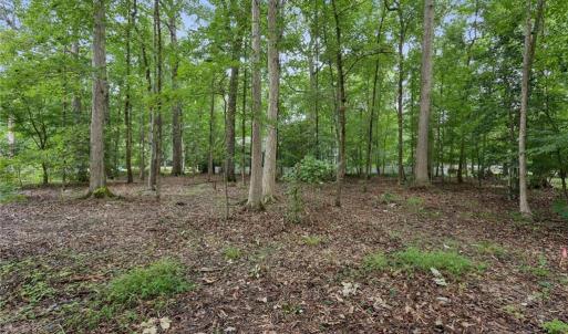 Photo #6 of 119 Rosemount, Williamsburg, Virginia 0.6 acres