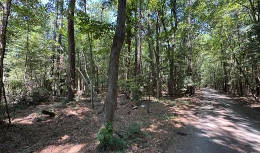Wooded Lot