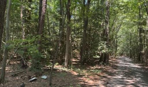 Photo #5 of .51+AC Old Ferry Road, Hudgins, Virginia 0.9 acres