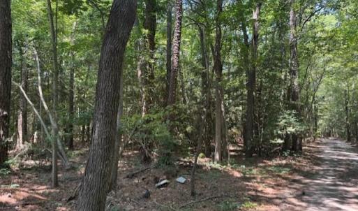 Photo #6 of .51+AC Old Ferry Road, Hudgins, Virginia 0.9 acres