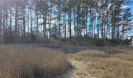 Photo #10 of Lot 2 Haven Beach Road, Moon, Virginia 9.9 acres