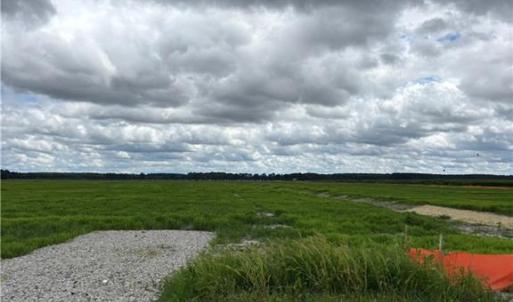 land