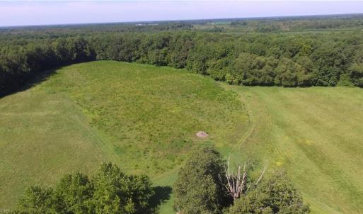 Photo #1 of 40.9AC White Meadow Road, Boykins, Virginia 40.9 acres