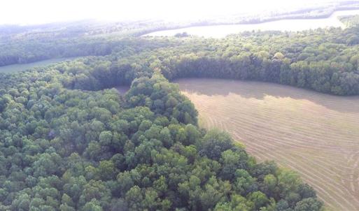 Photo #5 of 40.9AC White Meadow Road, Boykins, Virginia 40.9 acres