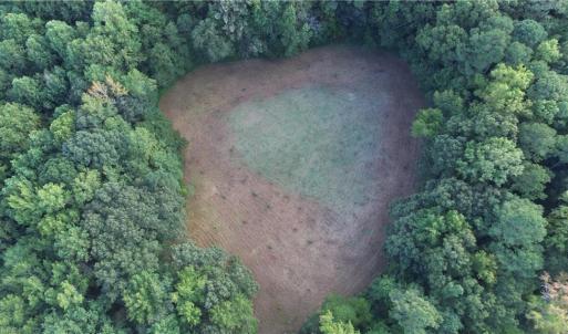 Photo #6 of 40.9AC White Meadow Road, Boykins, Virginia 40.9 acres