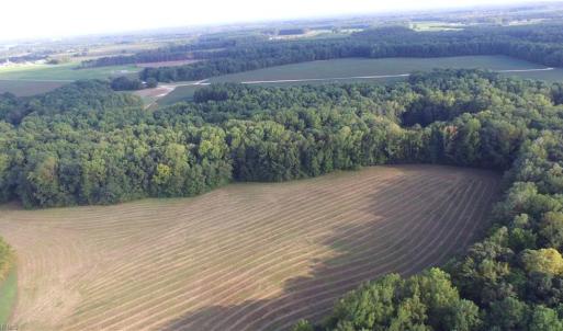 Photo #3 of 40.9AC White Meadow Road, Boykins, Virginia 40.9 acres