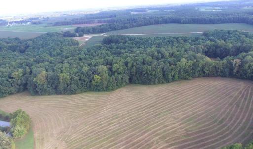 Photo #4 of 40.9AC White Meadow Road, Boykins, Virginia 40.9 acres