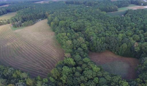 Photo #7 of 40.9AC White Meadow Road, Boykins, Virginia 40.9 acres