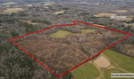 Photo #6 of 220 Dunn, Gibsonville, NC 80.6 acres