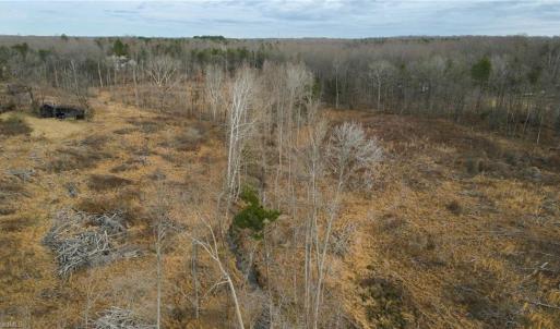 Photo #12 of 220 Dunn, Gibsonville, NC 80.6 acres