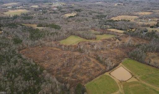 Photo #7 of 220 Dunn, Gibsonville, NC 80.6 acres