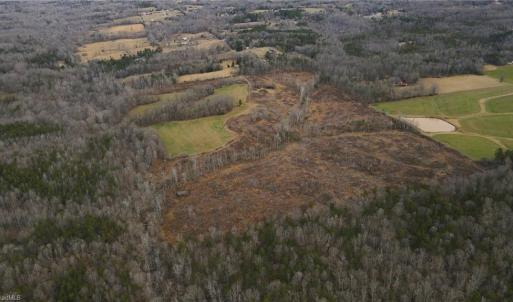 Photo #3 of 220 Dunn, Gibsonville, NC 80.6 acres