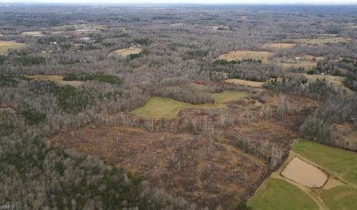 Photo #5 of 220 Dunn, Gibsonville, NC 80.6 acres