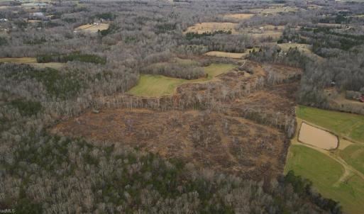 Photo #9 of 220 Dunn, Gibsonville, NC 80.6 acres