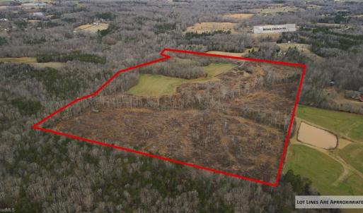 Photo #8 of 220 Dunn, Gibsonville, NC 80.6 acres