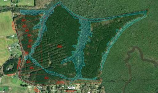 OVERVIEW