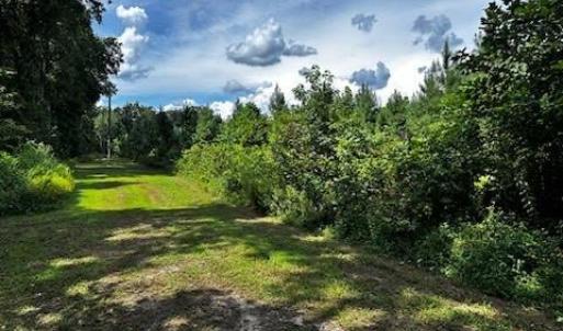 Photo #2 of 120+AC OLD CHURCH Road, New Kent, Virginia 128.0 acres