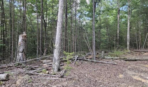 Photo #2 of 10055 Old Stage Road, Toano, Virginia 40.2 acres