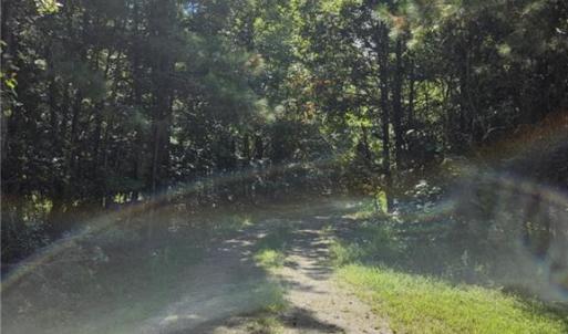 Photo #4 of 10055 Old Stage Road, Toano, Virginia 40.2 acres