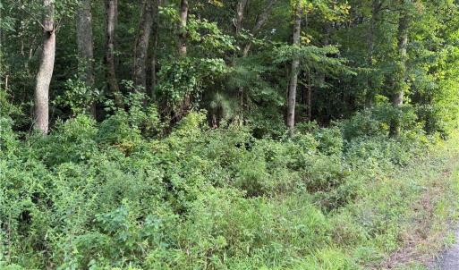 Photo #3 of 1.00AC Clay Bank Road, Gloucester, Virginia 1.0 acres