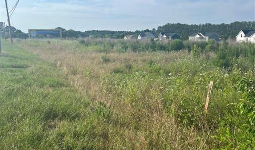 Land View