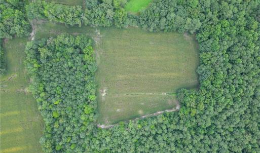 Photo #11 of 1451 Dutch Road, Suffolk, Virginia 10.7 acres