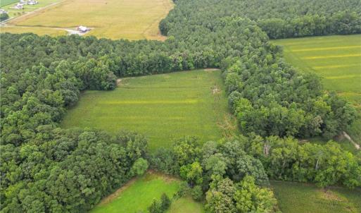 Photo #4 of 1451 Dutch Road, Suffolk, Virginia 10.7 acres