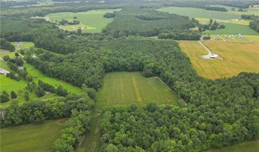 Photo #8 of 1451 Dutch Road, Suffolk, Virginia 10.7 acres