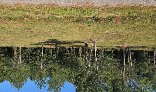 Photo #3 of Lot 6 Sandy Hill Road, Courtland, Virginia 0.6 acres