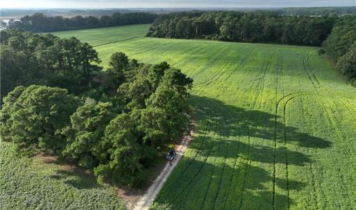 Photo #5 of 133 Blue Heron Lane, Knotts Island, North Carolina 51.0 acres