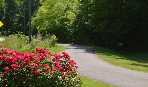 Virginia Capital Trail at the First Colony entrance on Route 5