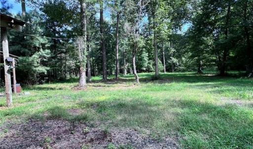 Gorgeous wooded views