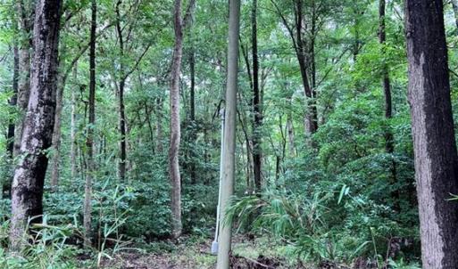 Electricity available on property.