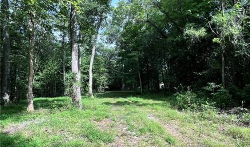 Wooded with clearings to build.