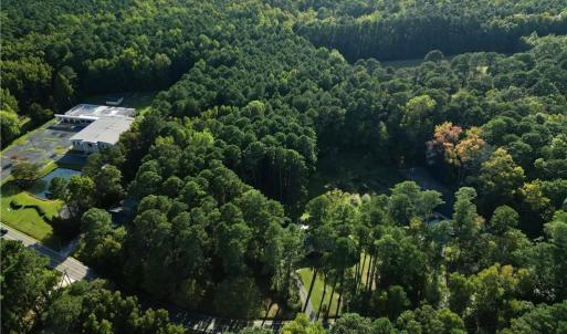 AERIAL VIEW OF WOODED ACREAGE