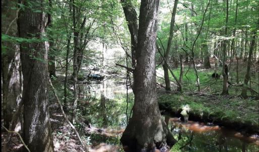 Photo #2 of 6628 Blackwater Road, Virginia Beach, Virginia 6.3 acres