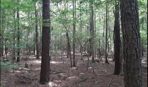 Photo #3 of 6628 Blackwater Road, Virginia Beach, Virginia 6.3 acres